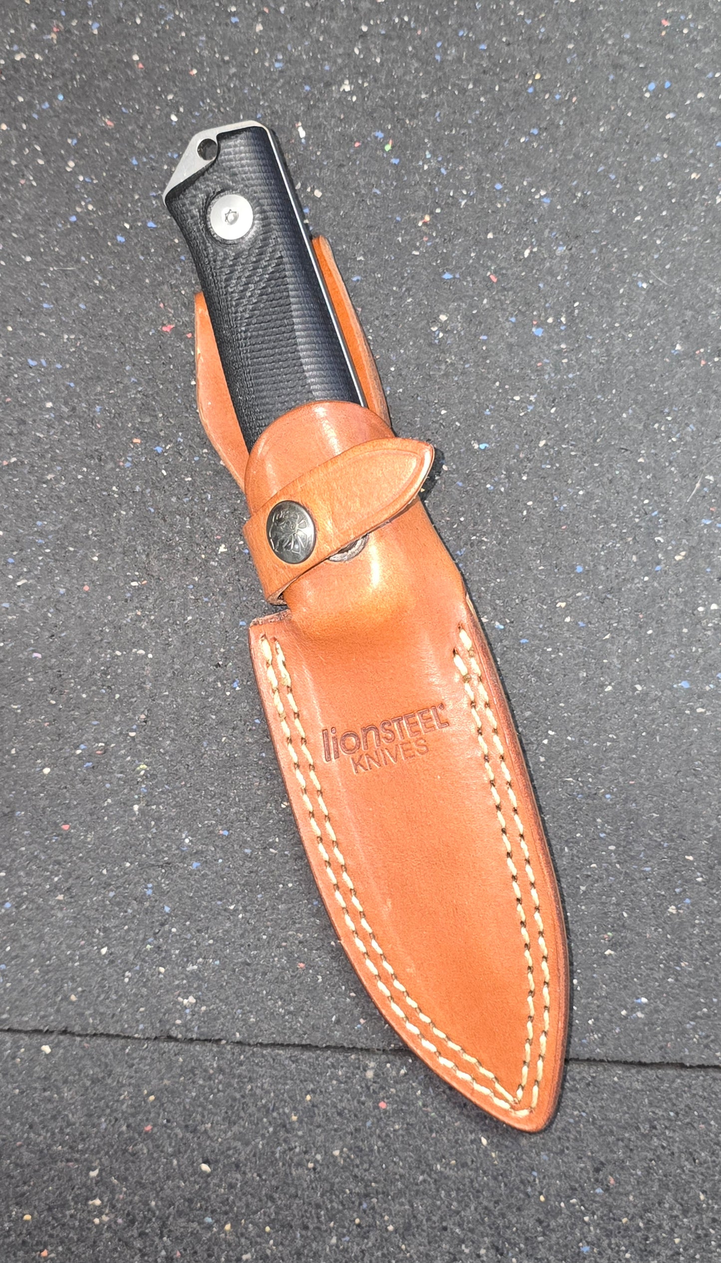 Lion steel Bushcraft B41 Black G10