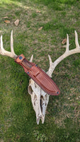 Saddle Mountain Skinner w/hook